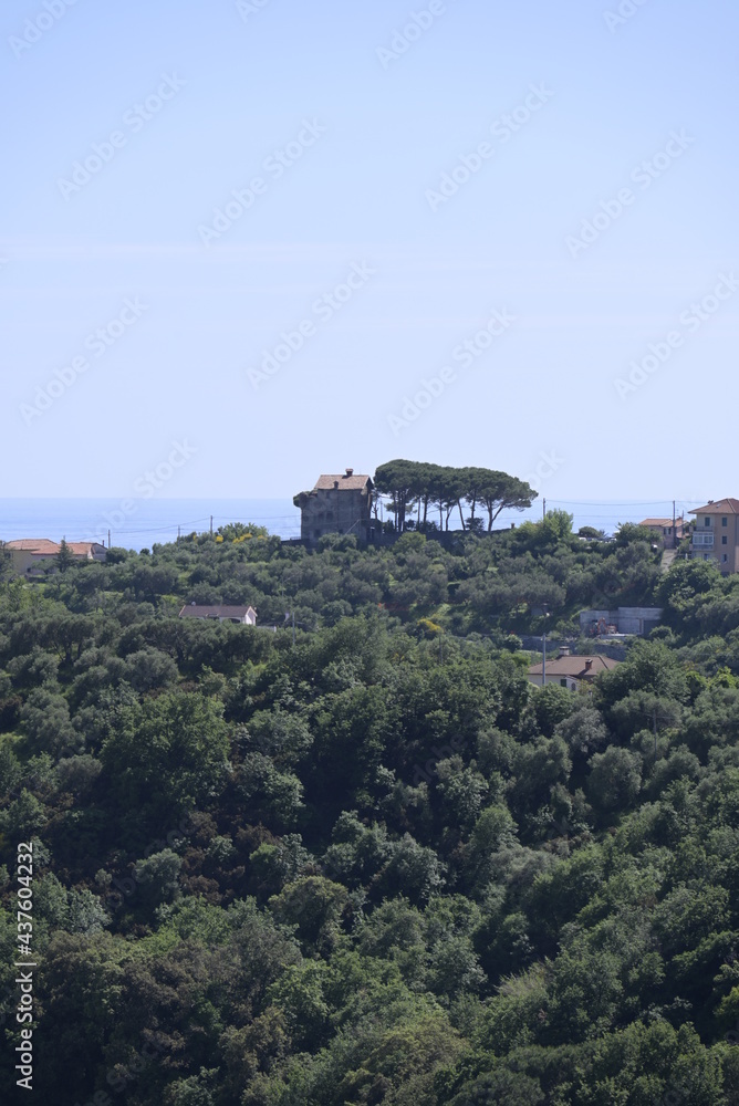 Fototapeta premium Paesaggio di Celle Ligure