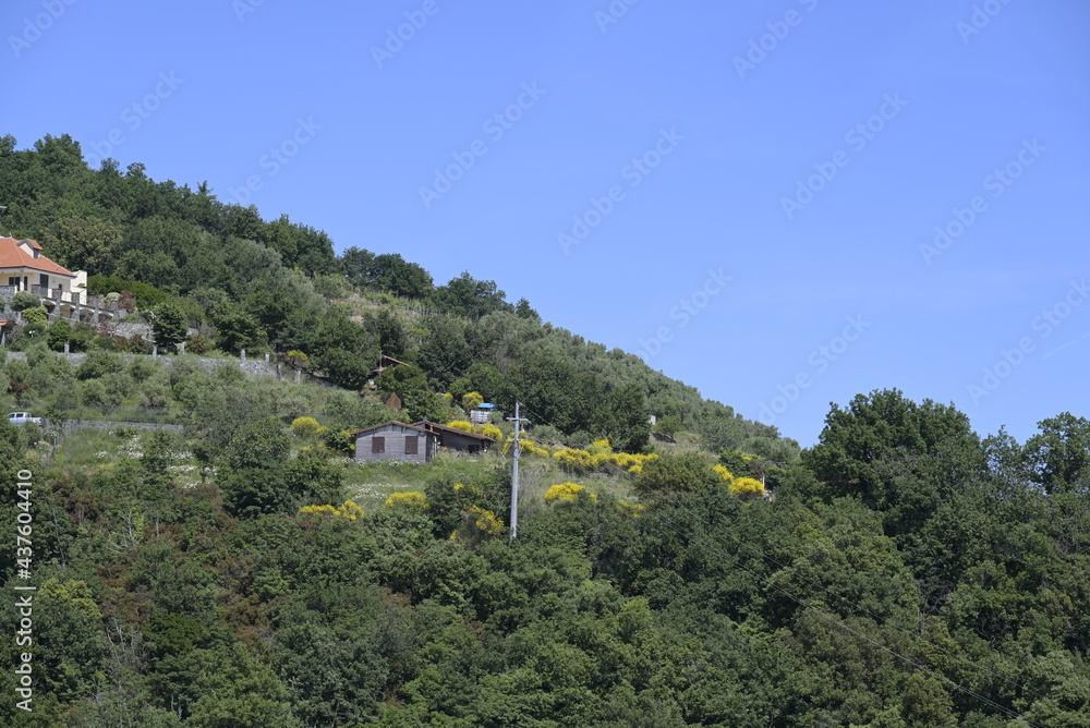 Fototapeta premium Paesaggio di Celle Ligure