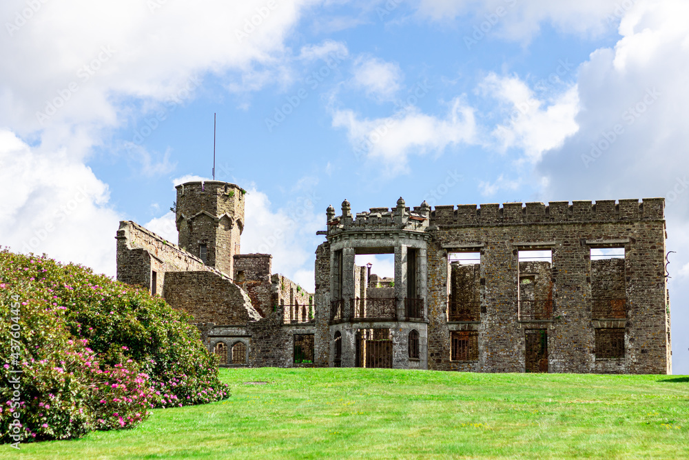 Fototapeta premium Château du Mont de Cerisy-Belle-Etoile avec les rhododendrons en fleurs.