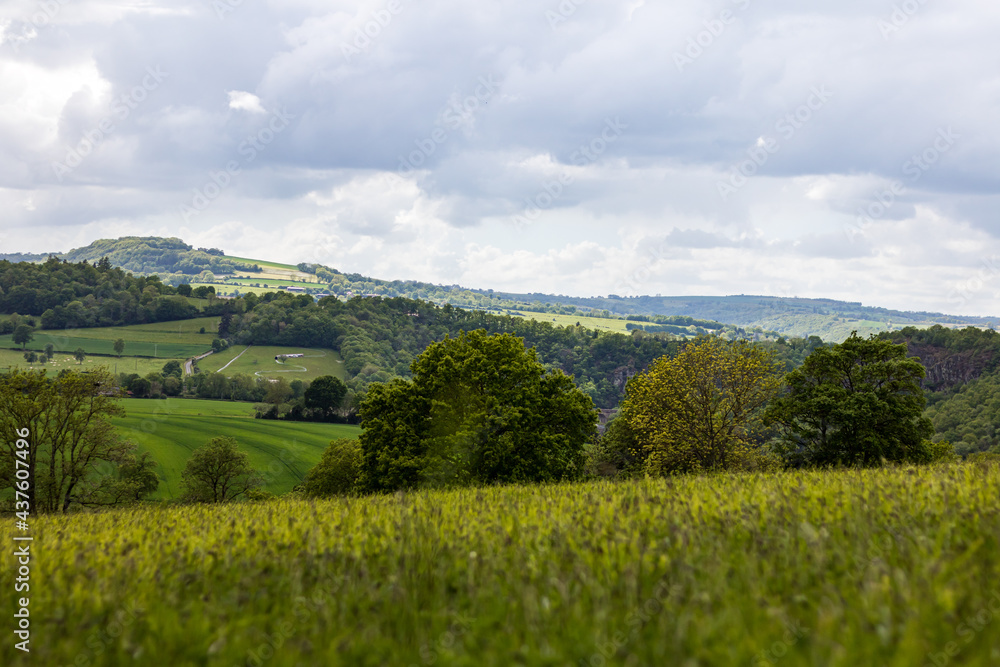 Obraz premium Paysage de la Suisse normande le long de l’Orne à Clécy sous un ciel couvert (Normandie)