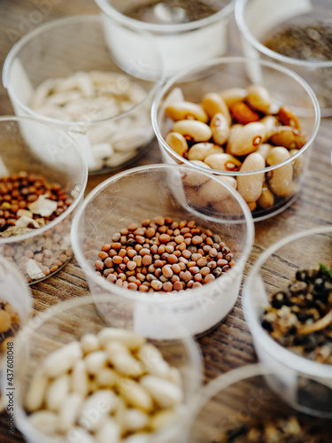 Vegetable seeds before planting in small boxes
