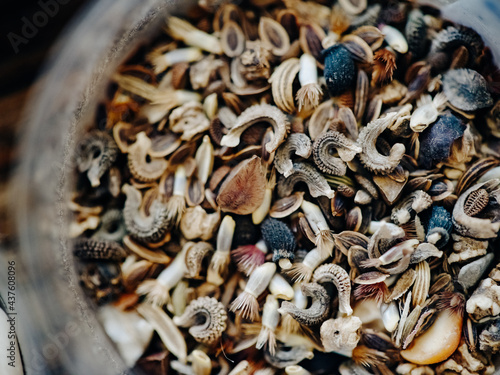 Flower and vegetable seeds before planting. 