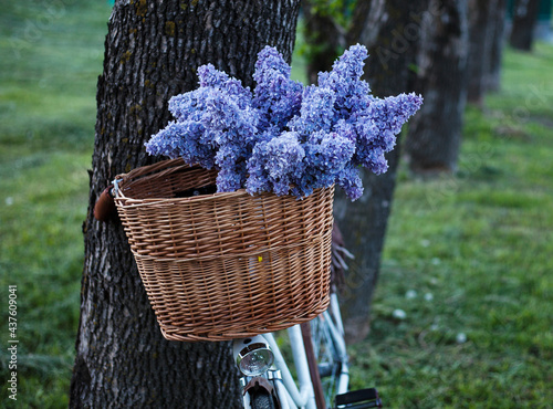 vintage bike with a bouquet of lilac flowers in the wicker basket in the summer alley