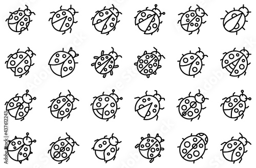 Insect ladybird icons set. Outline set of insect ladybird vector icons for web design isolated on white background