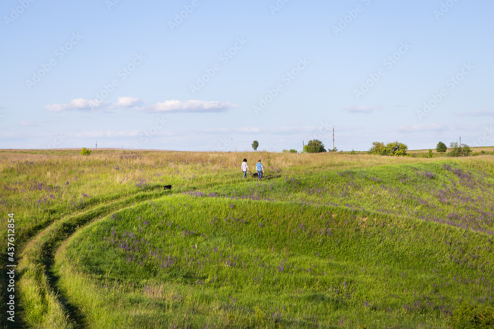Fototapeta premium Young couple walking in the meadow, walking with dogs outdoors, beautiful setting sun.