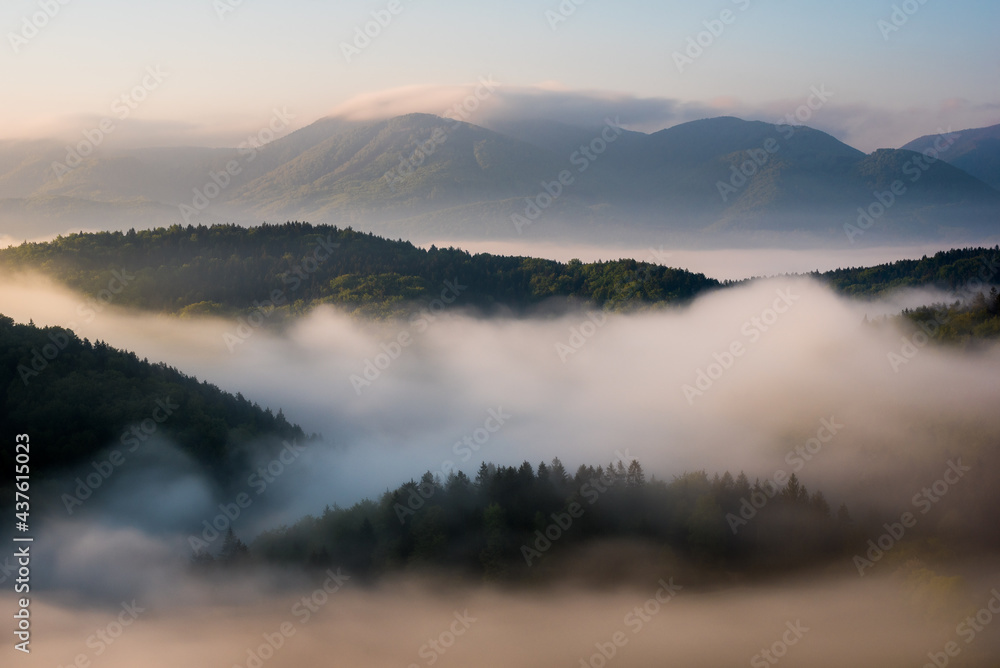 Hills covered with forest and trees in a foggy morning. They look like islands floating in the clouds.