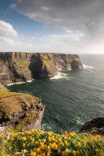 Small wild flowers grow on the edge in focus. Amazing view on Cliff of Moher, county Clare, Ireland. Popular landmark with unparalleled scenery. Warm sunny day, Cloudy sky. Sun flare. Sunset time © mark_gusev