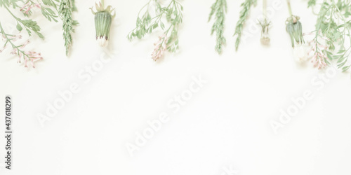 Wallpaper Mural Decorative floral mockup composition. Artistic flower arrangement with dandelion flowers and herbs on a white table Torontodigital.ca