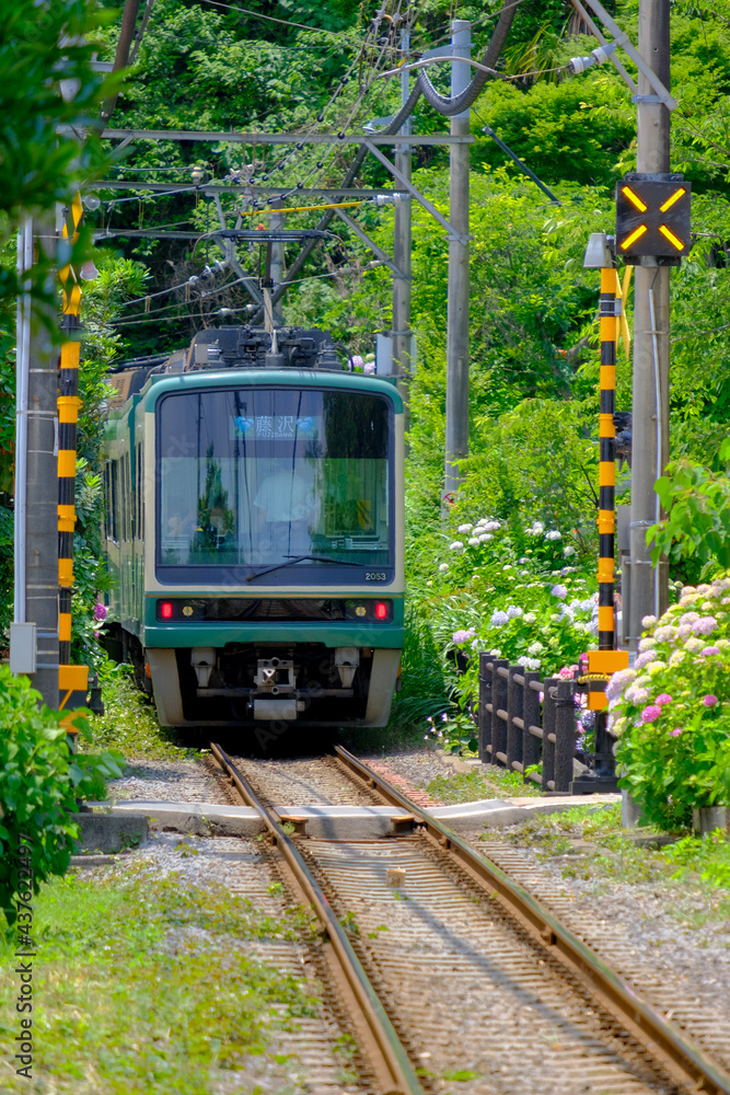 Naklejka premium Local railroad and hydrangea