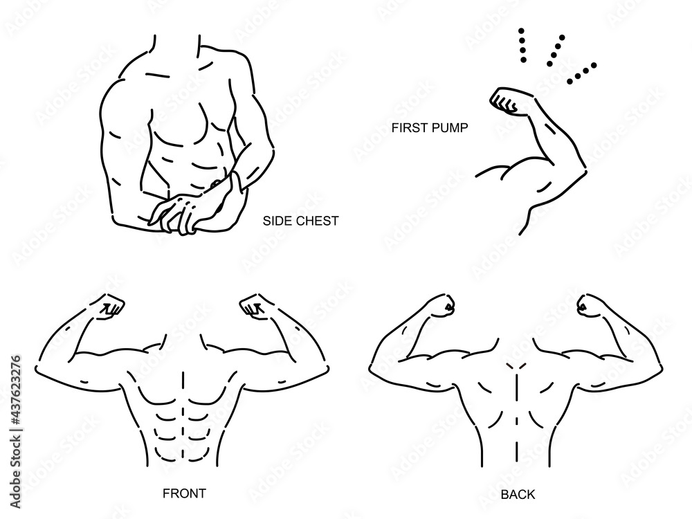 筋肉がある男性の上半身のベクターイラスト セット 筋肉がある男性の上半身のベクターイラスト セット