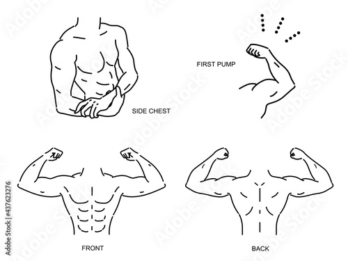 筋肉がある男性の上半身のベクターイラスト　セット