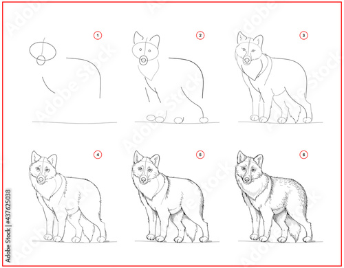 Page shows how to learn to draw sketch of cute grey wolf. Creation step by step pencil drawing. Educational page for artists. Textbook for developing artistic skills. Online education.