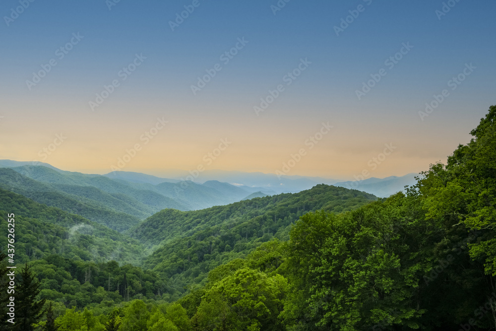 A Smoky Mountain View