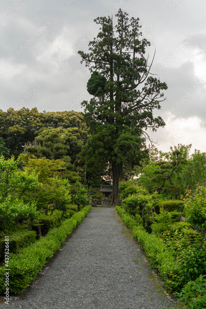 瑞巌寺