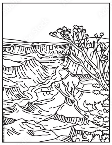 Mono line illustration of Grand Canyon National Park with layered bands of red rock revealing millions of years of geological history in Arizona done in retro black and white monoline line art style.
