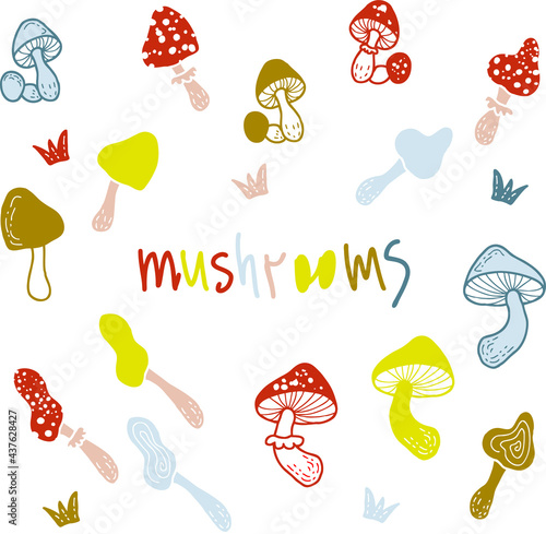 Drawing cute multicolored mushrooms and an inscription. Hand drawn vector illustration. Design for T-shirt, textile and prints. 