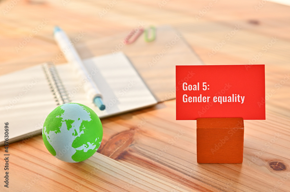 There is card with the statement Goal 5:Gender equality on it one of ...