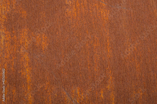 Wallpaper Mural Grunge rusted metal texture, rust, and oxidized metal background. Old metal iron panel Torontodigital.ca