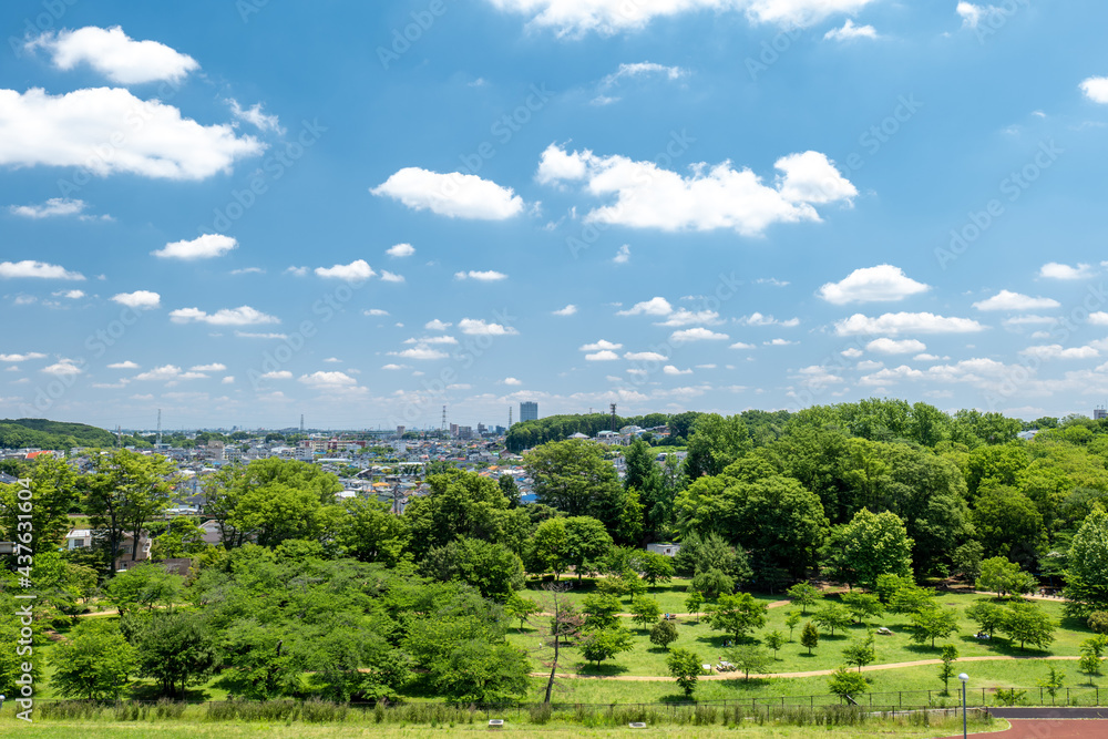 Fototapeta premium 初夏の青空と狭山公園の風景