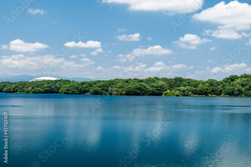 Fototapeta Naklejka Na Ścianę i Meble -  初夏の村山貯水池（多摩湖）の風景　