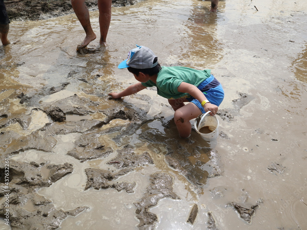 child catching eels in the dirt pool design for traditional farm experience child catching eels in the dirt pool design for traditional farm experience
