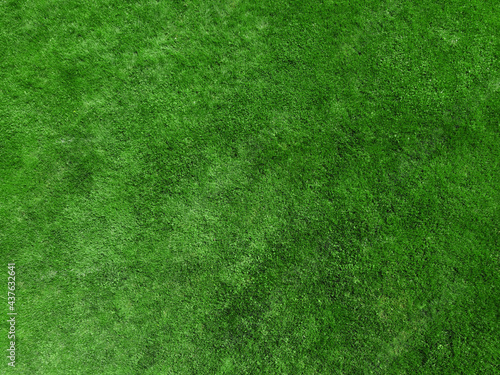 real green grass background for design