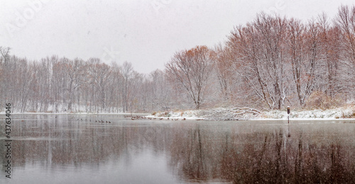 Winter Forest Lake Panorama