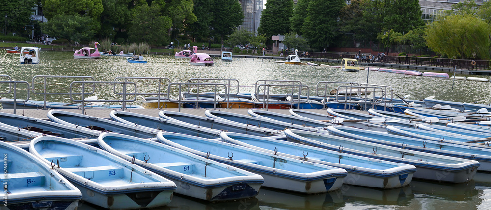 Obraz premium 池とボート