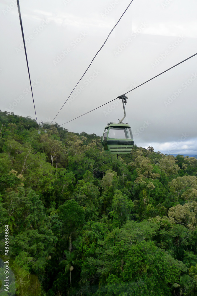 view of the skyrail rainforest cableway