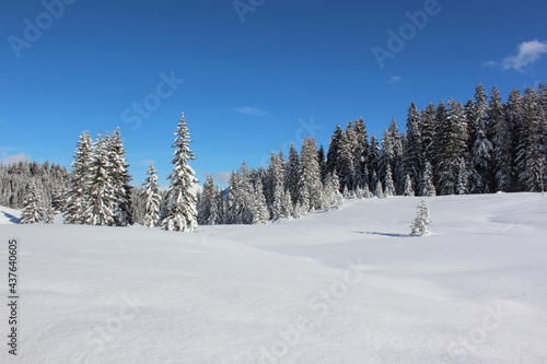 Kleinwalsertal - Winter / Kleinwalsertal - Winter © Ludwig