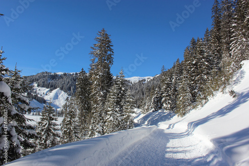 Kleinwalsertal - Winter / Kleinwalsertal - Winter