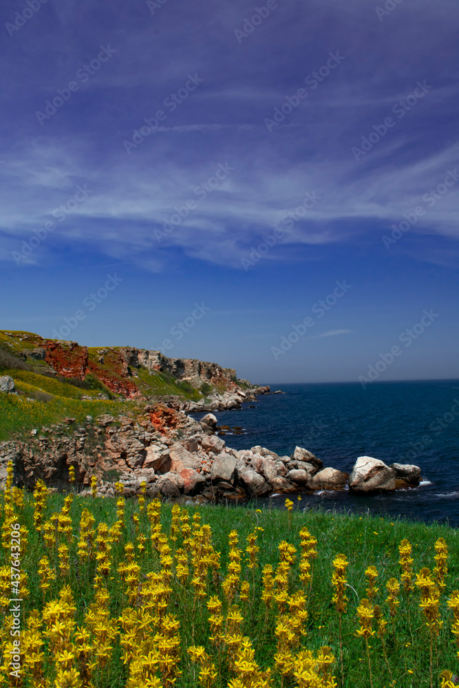 Yellow flowers and sea