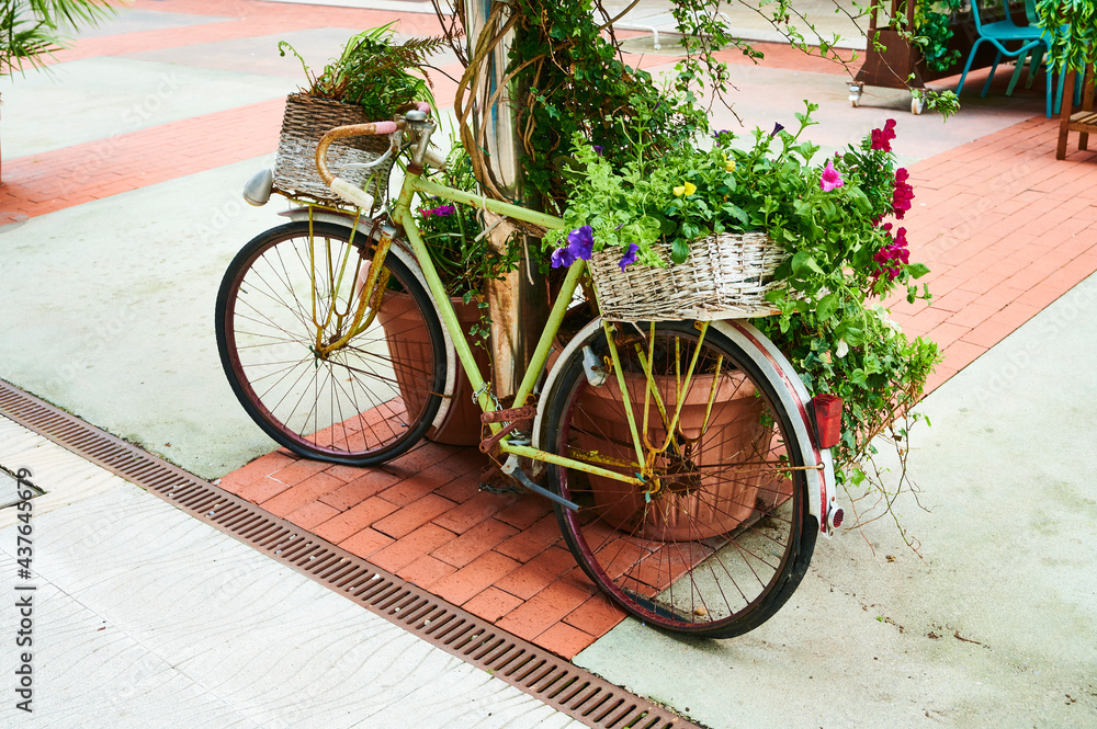 Old bike with flowers in the street