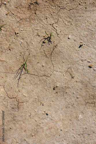 dry desert soil with two grass sprouts in flat lay persperctive photo