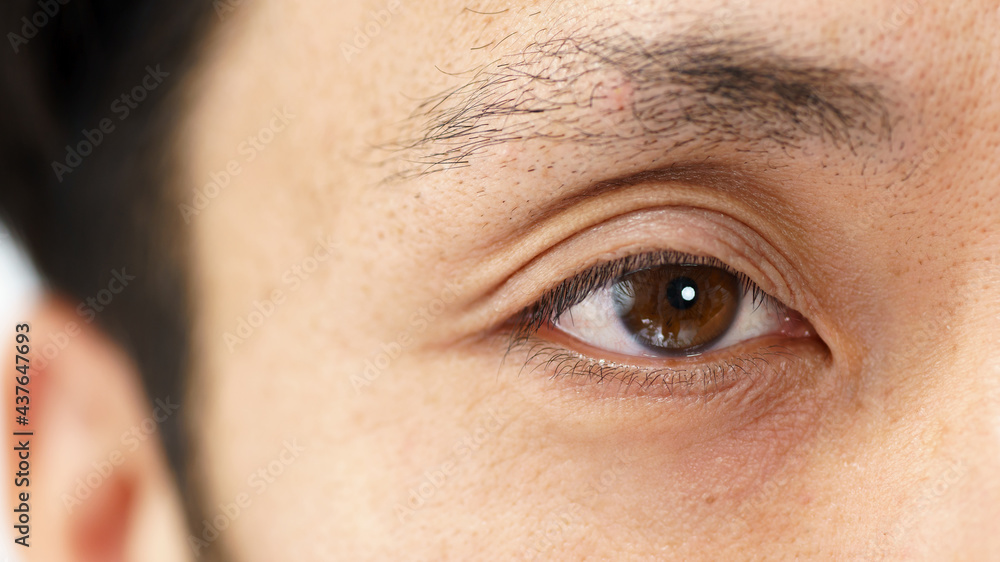 Fototapeta premium 目 ボディーパーツ