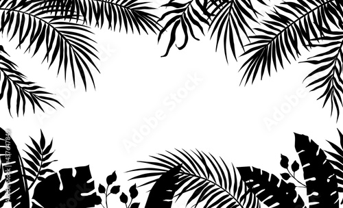 Palm leaves frame. Black silhouette of banana tree foliage. Exotic plant border. Rainforest greenery. Tropical branches. Decorative contour floral framing with copy space. Vector jungle