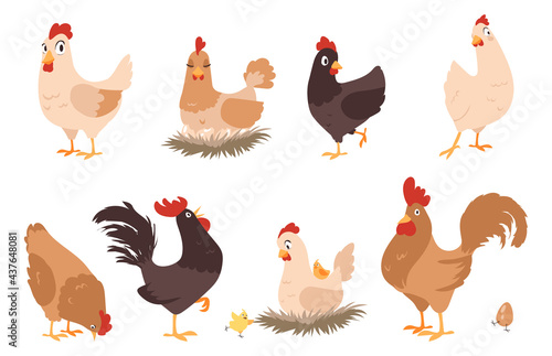 Cartoon chicken. Funny rooster and hen. Farm animal mascots with wings and feathers. Activities of domestic birds. Chicks sitting in nests. Cheerful cocks walking. Vector poultry set