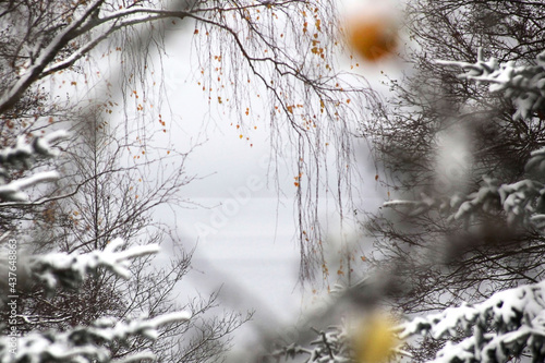 Winter landscape, through blurred tree branches in the foreground. © наталья саксонова