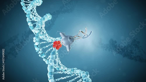 Medical nanobots repair a damaged section of DNA. The concept of the future. Genetic engineering and treatment. 3D render. photo