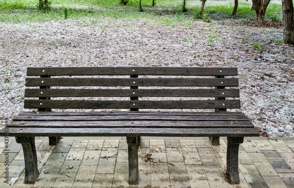 A beautiful unoccupied bench in a city park. A beautiful unoccupied bench in a city park.