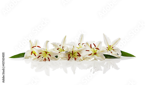 Closeup shot of white lilies isolated on white background.