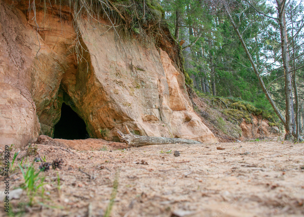 landscape with sandstone outcrops by a small wild river, sandstone texture, old grass, moss and other typical plants, Strikupe, Vaidava, Latvia landscape with sandstone outcrops by a small wild river, sandstone texture, old grass, moss and other typical plants, Strikupe, Vaidava, Latvia