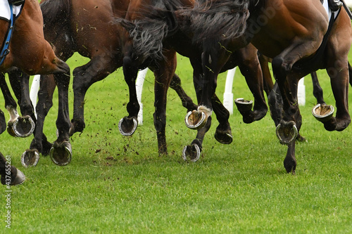 Fotografie, Tablou Horse racing action