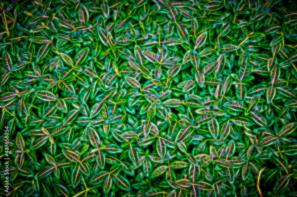 Graphic background of bright green leaves Graphic background of bright green leaves