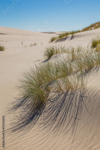 Dunes in the Slowinski National Park. Landscape with beautiful sky, clouds and dunes in the sun in Leba.