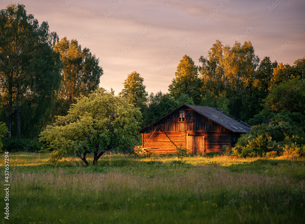 Fototapeta premium autumn landscape with house