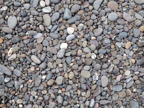 Texture of light, gray and white dry sea pebbles from the coast in full screen. Large and small smooth stones. The concept of the background is about a summer vacation.