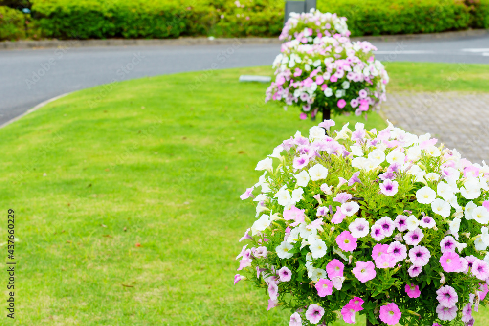 Naklejka premium フラワータワーのある公園