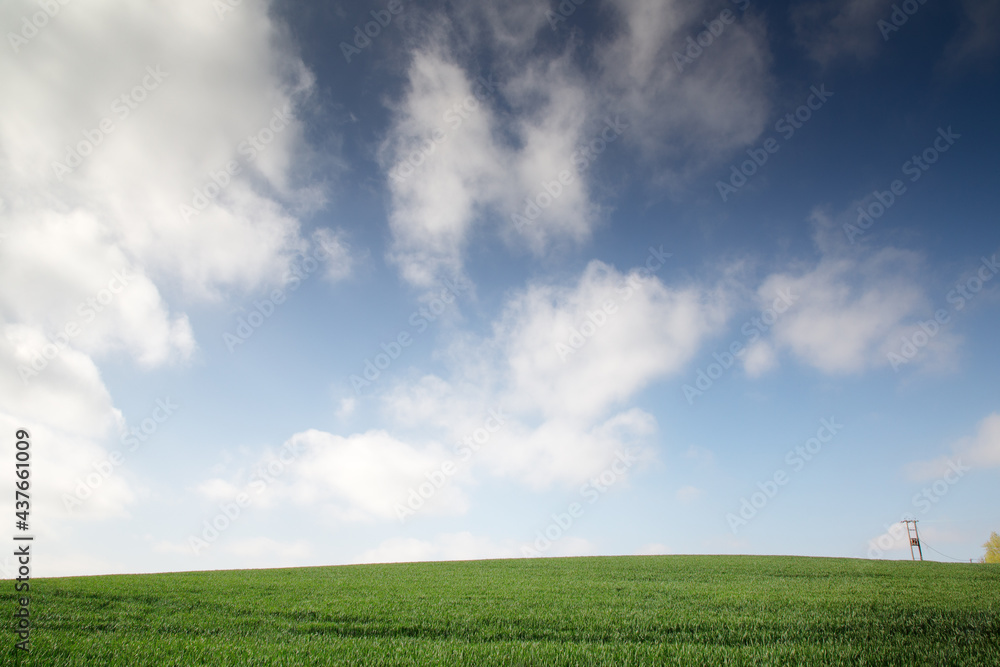 Green agriculture fields in blue sky with clouds Green agriculture fields in blue sky with clouds