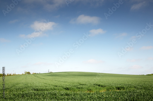 Green agriculture fields in blue sky with clouds